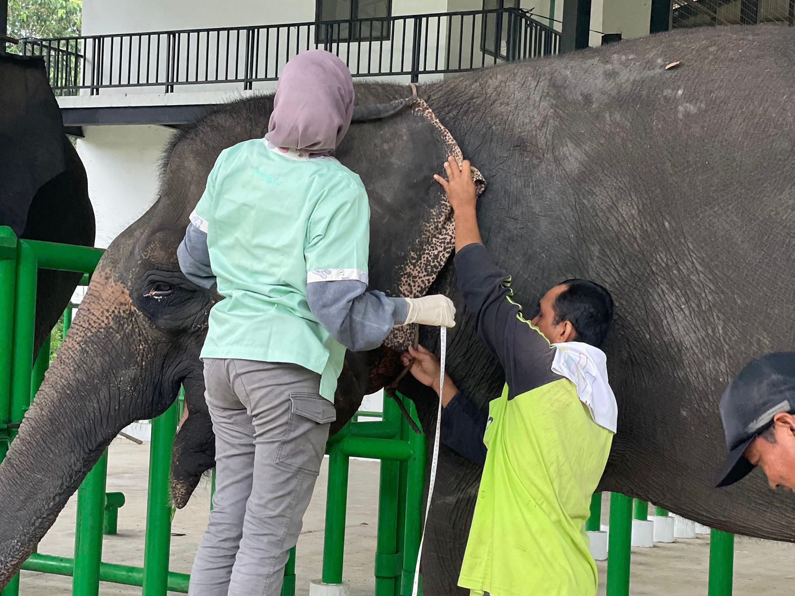 WhatsApp Image 2025-11-19 at 10.10.25_f0032dfa